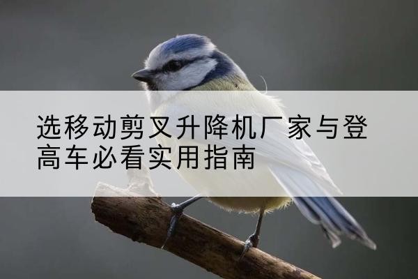 毕节电动升降机厂家-选移动剪叉升降机厂家与登高车必看实用指南