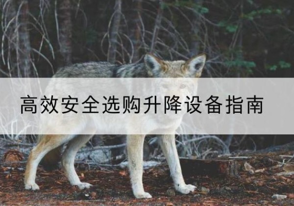 毕节升降货梯厂家推荐-*安全选购升降设备指南