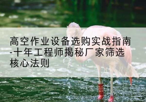 毕节剪叉式升降机厂家-高空作业设备选购实战指南-十年工程师揭秘厂家筛选核心法则